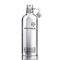 Fantastic Basilic  100ml-208632 1